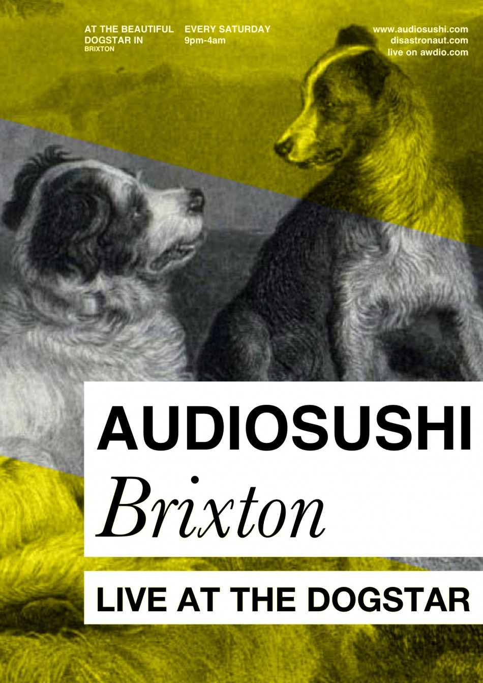 Brixton's Longest Running, Best Club Night Audio Sushi with DIsastronaut 